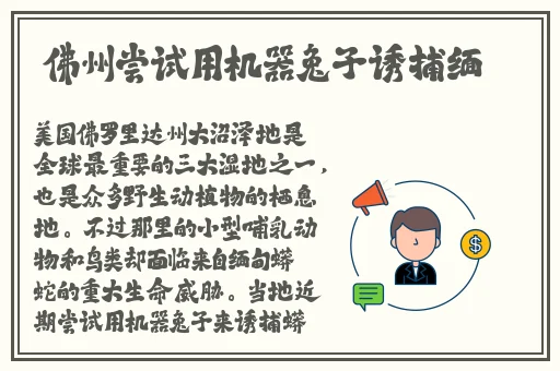 无人区码一码二码三码是什么ww